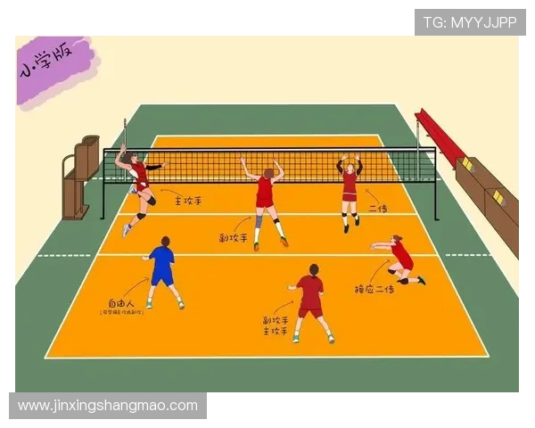 排球技艺的巅峰之作:深入解析西安排球队的战术与技巧