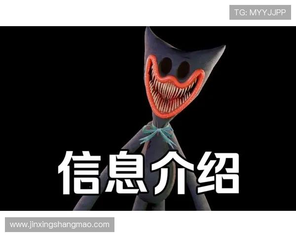 探索刘芳的CSGO人生旅程与游戏背后的深度对话