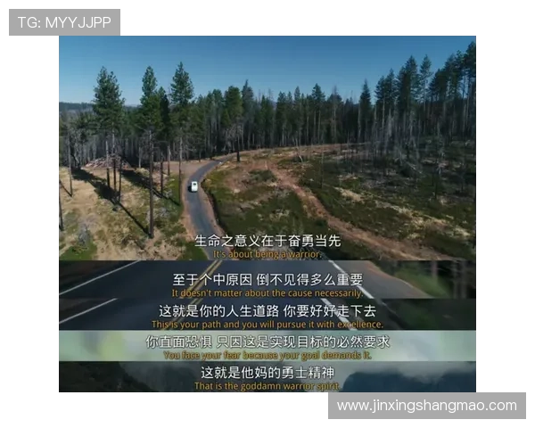 攀岩与人生的交织:陈丽的深度对话与心路历程